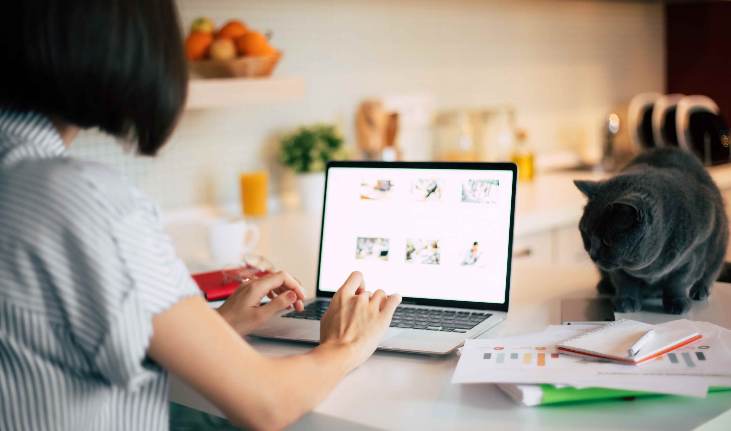 首頁 41網頁設計